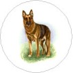 German Shepherd (M) Single (90mm)
