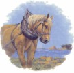 Percheron Single (90mm)