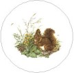 Squirrel Single (150mm)