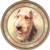 Airedale Terrier (R) Single (90mm)