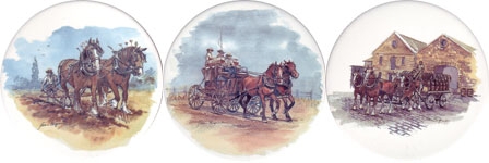 Aust Working Horses Set of 3 (150mm)