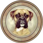 Boxer (R) Single (150mm)
