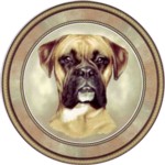  Boxer (R) Single (150mm)