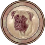 BullMastiff (R) Single (150mm)