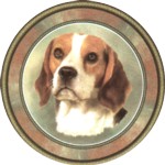 Beagle (R) Single (90mm)