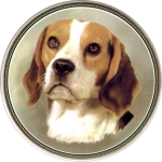 Beagle (R) Single (150mm)