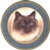 Birman (R) Single (90mm)