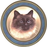 Birman (R) Single (90mm)