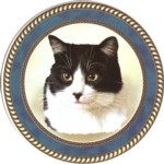 Black White Cat (R) Single (150mm)