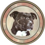 Black Staffie (R) Single (90mm)