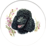 Black Poodle (K) Single (150mm)