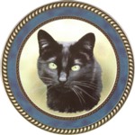 Black Cat (R) Single (90mm)