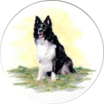 [T BCOLLIE2 B150] Border Collie 2