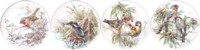 British Birds Set of 4 (150mm)