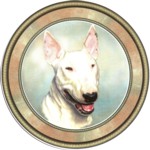  Bull Terrier (R) Single (90mm)