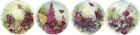 Butterfly Kingdom Set of 4 (90mm)