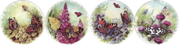 Butterfly Kingdom Set of 4 (150mm)