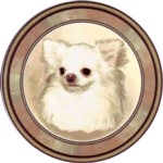  Chihuahua Long (R) Single (90mm)