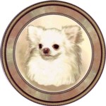 Chihuahua Long (R) Single (150mm)