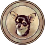 Chihuahua Short (R) Single (90mm)