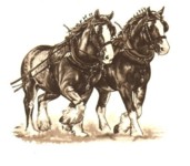 Clydesdales Single (90mm)