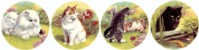  Cats Life Set of 4 (150mm)