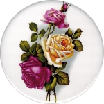 Coloured Roses Single (150mm)