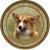 Corgi (R) Single (90mm)