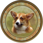 Corgi (R) Single (150mm)