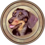 Dachshund Black (R) Single (150mm)