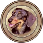  Dachshund Black (R) Single (150mm)