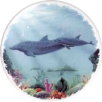 Dolphins & Calf Single (150mm)