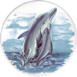Dolphins 4 Single (90mm)