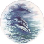 Dolphins 6 Single (150mm)