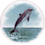 Dolphins 5 Single (90mm)