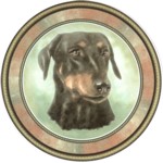 Doberman (R) Single (150mm)