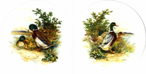 Ducks 2 Set of 2 (150mm)