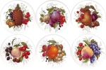 Fruit Set of 6 (150mm)