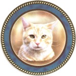 Ginger Tabby (R) Single (90mm)