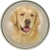  Golden Retriever (R) Single (90mm)