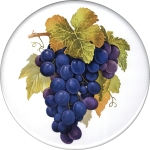  Grapes Single (90mm)