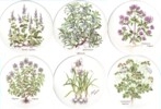  Herbs Set of 6 (150mm)