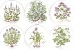 Herbs Set of 6 (90mm)