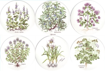 Herbs Set of 6 (150mm)