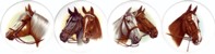  Horses Heads Set of 4 (90mm)