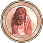  Irish Setter (R) Single (90mm)