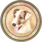 Jack Russell Haired (R) Single (150mm)