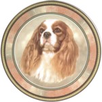  King Charles (R) Single (150mm)