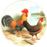 Leghorn Single (90mm)