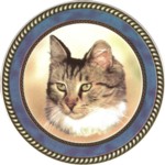 Long Haired Tabby (R) Single (150mm)